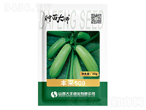 ���509-����«����-�����ҵ