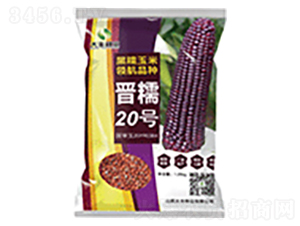 ��Ŵ20��-��������-�����ҵ