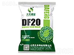 DF20-��������-�����ҵ