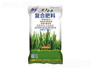 ����ֲ�Ḵ�Ϸ���16-20-6-ʤ����-ʤ���ҵ