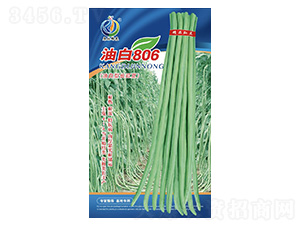�Ͱ�806-��������-���ؿƼ�