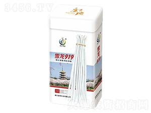 ѩ��919-��������-���ؿƼ�