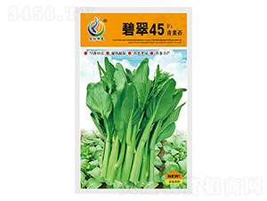 �̴�45-��޷����-���ؿƼ�