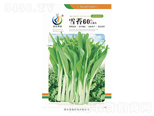 ѩ̦60-��޷����-���ؿƼ�