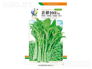 ����203-��޷����-���ؿƼ�