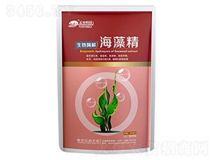 ���徫500G-��̨��