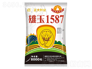 ����1587-��������-������ҵ