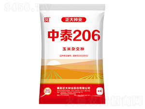 ��̩206-��������-������ҵ