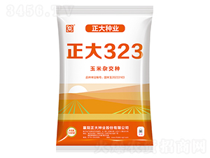 ����323-��������-������ҵ