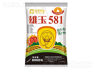 ����581-��������-������ҵ