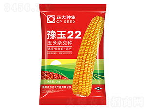 ԥ��22-��������-������ҵ