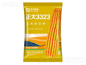 ����3323-��������-������ҵ