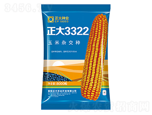 ����3322-��������-������ҵ