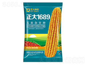 ����1689-��������-������ҵ