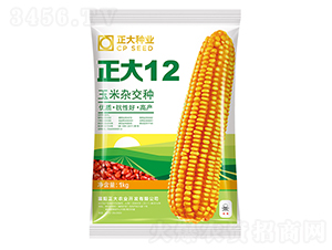 ����12-��������-������ҵ