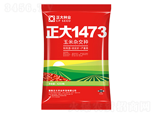 ����1473-��������-������ҵ