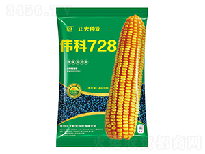 ΰ��728-��������-������ҵ