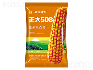 ����508-��������-������ҵ