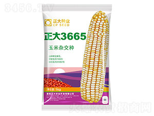 ����3665-��������-������ҵ