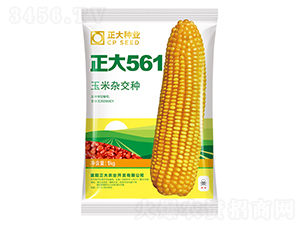����561-��������-������ҵ