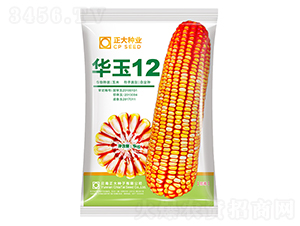 ����12-��������-������ҵ