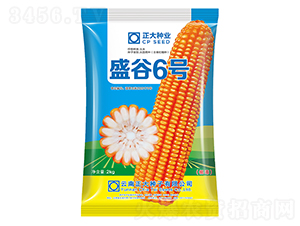 ʢ��6��-��������-������ҵ