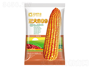 ����809-��������-������ҵ
