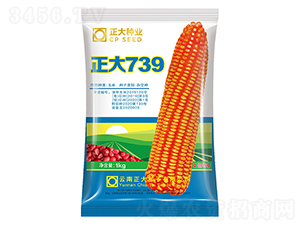 ����739-��������-������ҵ