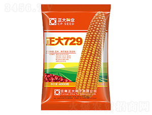 ����729-��������-������ҵ