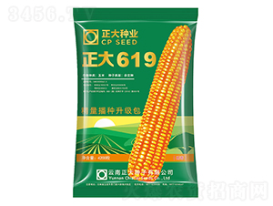 ����619-��������-������ҵ