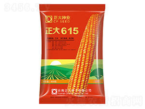 ����615-��������-������ҵ