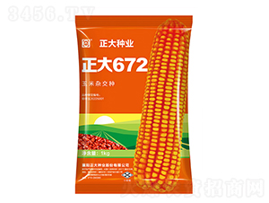 ����672-��������-������ҵ