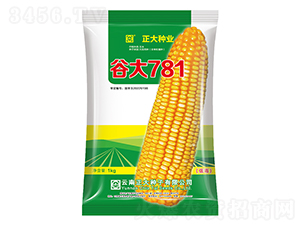 �ȴ�781-��������-������ҵ