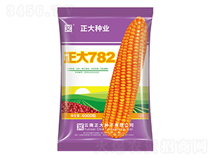 ����782-��������-������ҵ