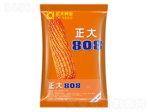 ����808-��������-������ҵ