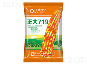 ����719-��������-������ҵ
