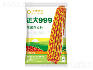 ����999-��������-������ҵ