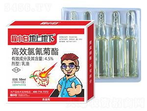 50ml��Ч�������-��С�ס����ϵ���-��ũũҵ
