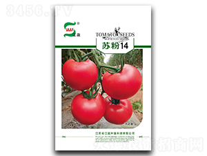 �շ�14-��������-����ҵ