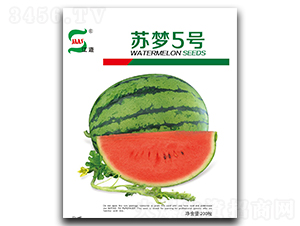 ����5��-��������-����ҵ