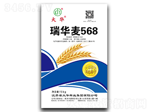 ����568-С������-����ҵ
