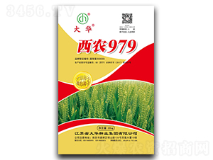 ��ũ979-С������-����ҵ