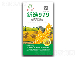 ��ѡ979-С������-����ҵ
