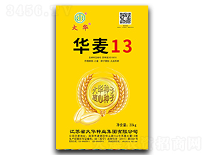 ����13-С������-����ҵ