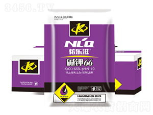 ���66-嫰�����