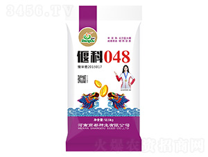 �ȿ�048-С����-�̶���ҵ