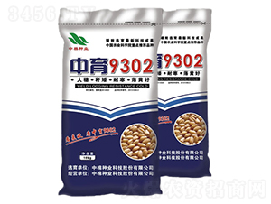 ����9302-С������-������ҵ