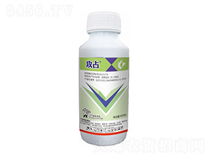2.5%��������-��ռ-����¡����