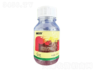 900��/���Ҳݰ�EC-������-һ���Ƽ�