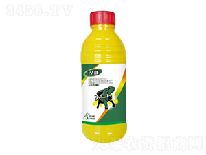 20%�вݿ�AS-����-һ���Ƽ�